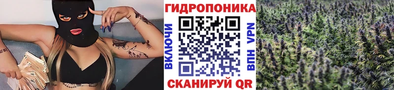 Купить  Ангарск  Бошки марихуана сатива 